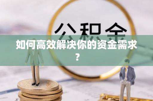 莲都如何高效解决你的资金需求？