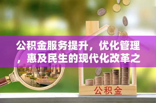 莲都公积金服务提升，优化管理，惠及民生的现代化改革之路