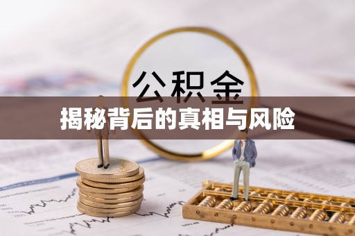 莲都揭秘背后的真相与风险