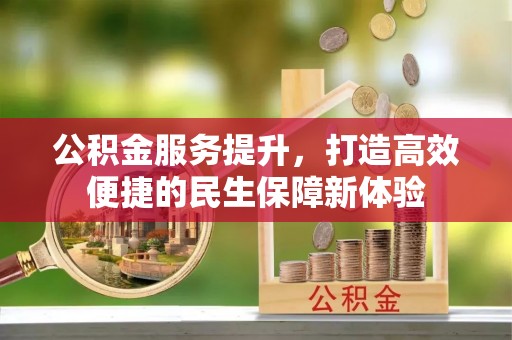 莲都公积金服务提升，打造高效便捷的民生保障新体验