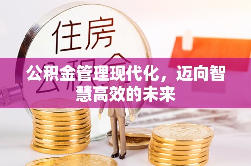 莲都公积金管理现代化，迈向智慧高效的未来