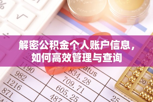 莲都解密公积金个人账户信息，如何高效管理与查询
