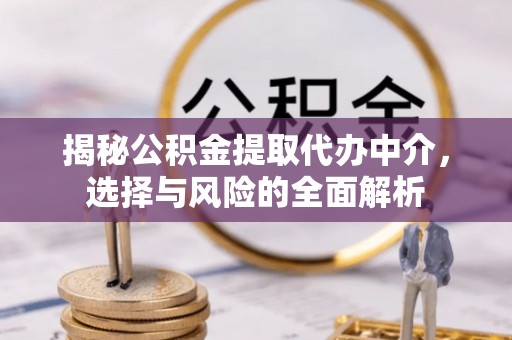 莲都揭秘公积金提取代办中介，选择与风险的全面解析