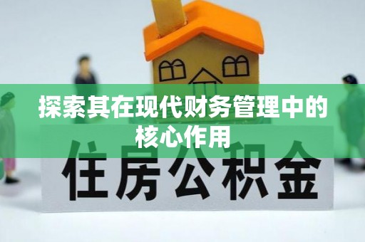 莲都探索其在现代财务管理中的核心作用