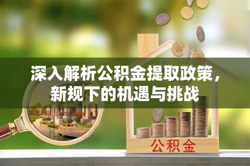 莲都深入解析公积金提取政策，新规下的机遇与挑战